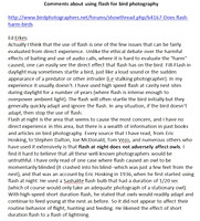 Notes on using flash with owls