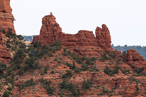 Snoopy Rock