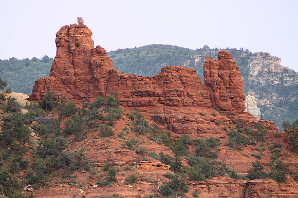 Snoopy Rock