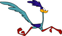 Roadrunners