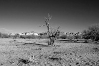 Tonto National Forest