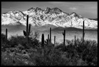 Landscapes