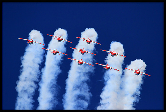 Canadian Snowbirds